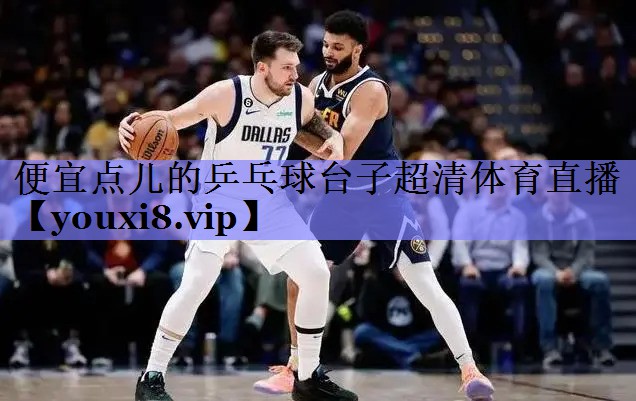 便宜点儿的乒乓球台子超清体育直播