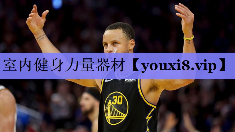 室内健身力量器材