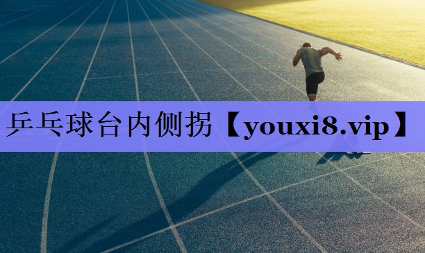 乒乓球台内侧拐